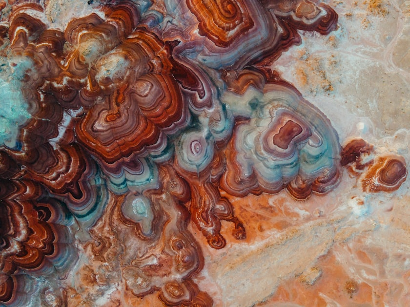 Ethical Sourcing in the Ammolite Industry