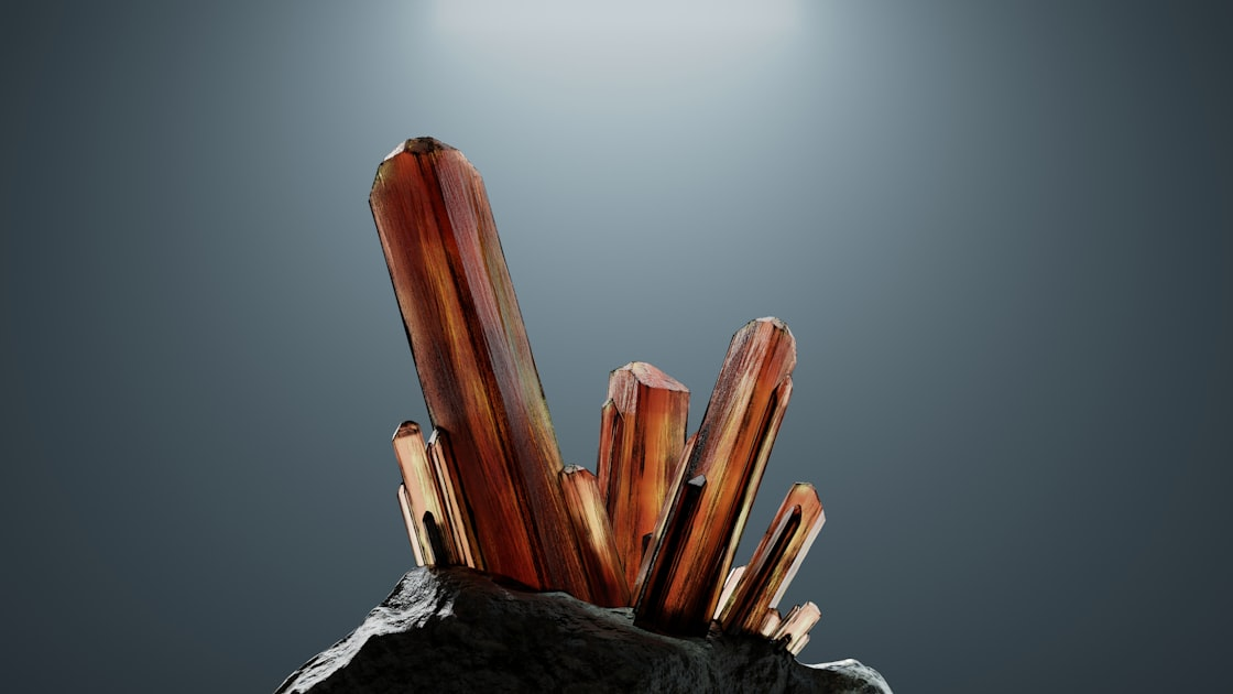 Educational Resources for Ammolite Enthusiasts